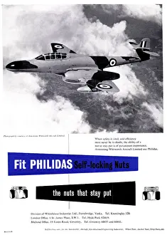 Whitehouse: Whitehouse Industries - Philidas Self-Locking Lock-Nuts