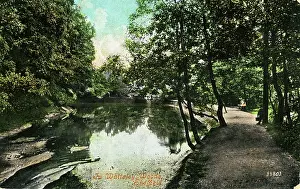 Whiteley: Whiteley Woods, Sheffield, Yorkshire