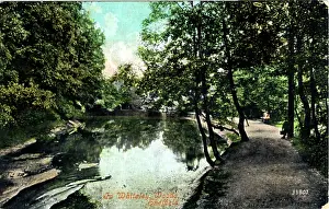 Whiteley: Whiteley Woods, Sheffield, Yorkshire
