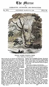 Kirke: WHITE'S TREE