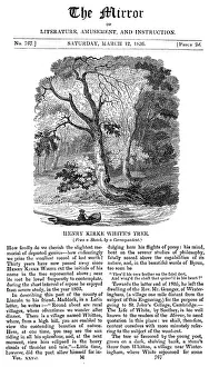 Kirke: WHITE'S TREE