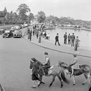 Whitestone: Whitestone Pond, Hampstead