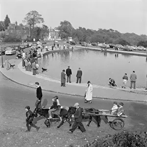 Whitestone: Whitestone Pond, Hampstead