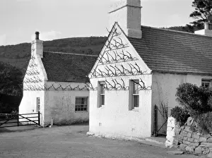 Whitewashed: Two whitewashed cottages with antler display