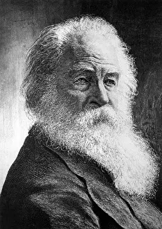 Whitman: WHITMAN