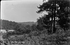 Vale: Whitmore Vale, Grayshott