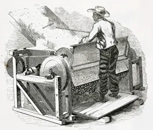 Fibre: Whitney's Cotton Gin