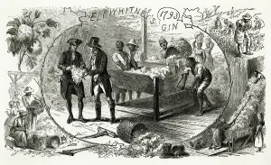 Industrialisation: WHITNEY'S COTTON-GIN1793
