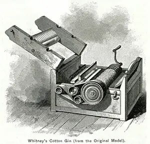 Fibre: Whitney's Gin