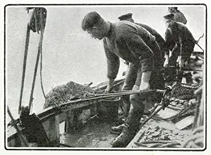 Dredgers: Whitstable, Oyster Trade 1902