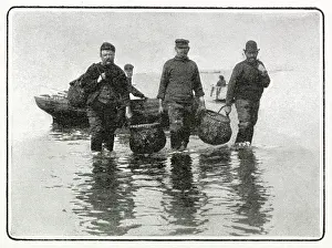 Dredgers: Whitstable, Oyster Trade 1902