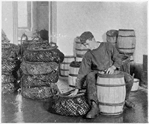 Seafood: Whitstable, Oyster Trade 1903