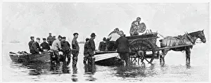 Seafood: Whitstable, Oyster Trade 1903