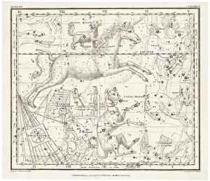 Whittaker: WHITTAKER/CANIS MAJOR