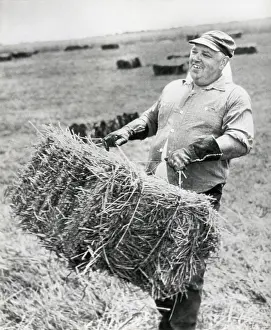 Subversives: Whittaker Chambers, at work on his farm in Westminster