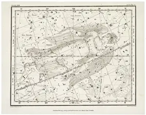 Whittaker: WHITTAKER STAR MAPS 18