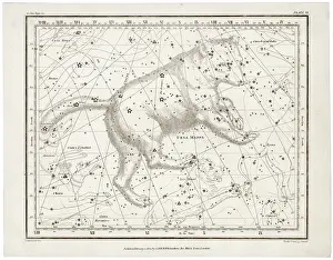 Ursa: WHITTAKER/URSA MAJOR