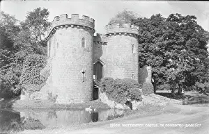 Swans: Whittington Castle