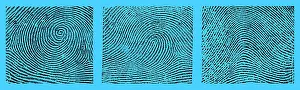 Classification: Whorl, Loop, and Arch Fingerprints