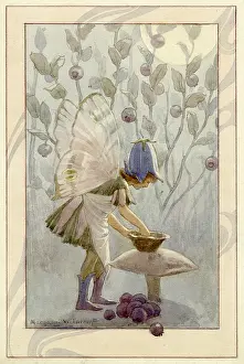 Washes: Whortleberry Fairy