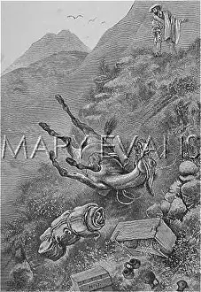 Mei - Consolidated Archive Holdings Ltd: WHYMPER AND MULES