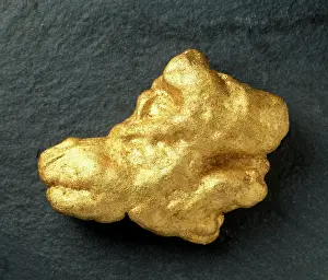 Nugget: The Wicklow gold nugget