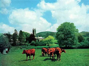 Widecombe: Widecombe-in-the-Moor, Devon
