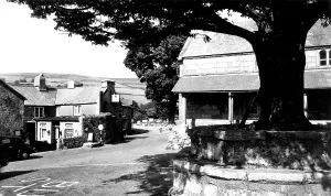 C1955: Widecombe in the Moor, the Village c1955
