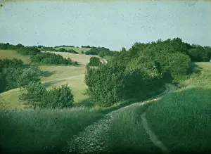 Lumiere: Wienerwald