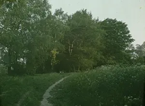 Lumiere: Wienerwald