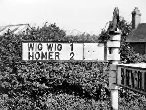 Signposts: WIG WIG!