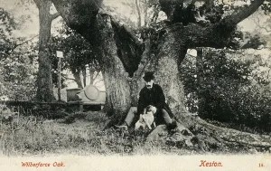 Keston: The Wilberforce Oak at Keston