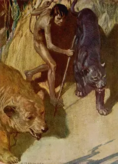 Cheetah: WILD ANIMALS & MAN 1932
