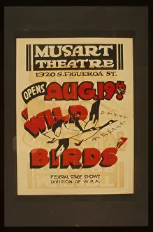 Figueroa: Wild birds Wild birds