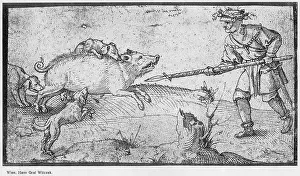 Boar: Wild boar hunt, 16th century
