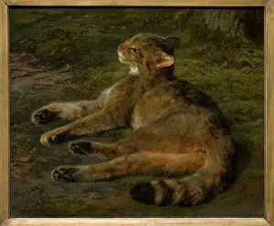 Bonheur: Wild Cat, 1850, by Rosa Bonheur