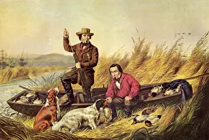 Kills: Wild Duck Shooting- A Good Day's Sport