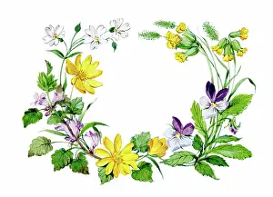 Ockenden: Wild flower border including cowslips & pansy