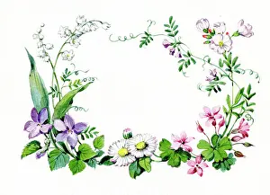 Ockenden: Wild flower border including violets & daisies