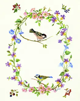 Blackberries: Wild Flower Oval with willow tit and blue tit
