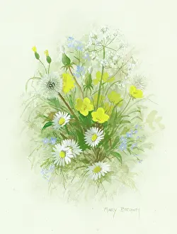 Buttercups: Wild Flowers including buttercups and daisies