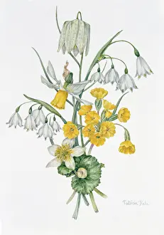 Palustris: From the Wild Garden