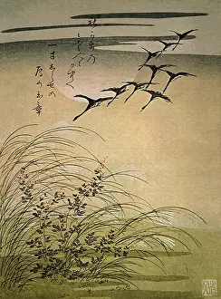 Eulalia: Wild Geese Flying in the Moonlight