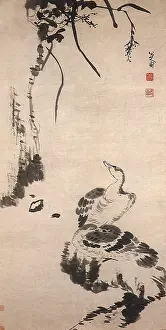 Reeds: Wild Geese and Reeds