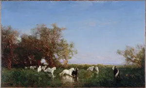 Ziem: Wild horses in the Camargue