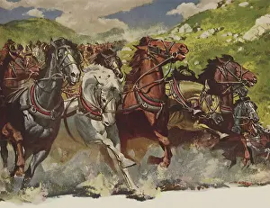 Equines: Wild Horses Charge