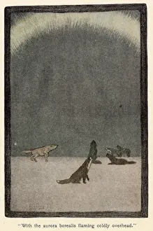 Borealis: CALL OF THE WILD/HOWLING