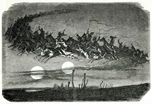 Chasse: WILD HUNT