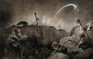 Wild Life on the Western Front - Rats in the Trenches
