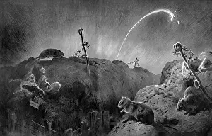 Nasty: Wild Life on the Western Front - Rats in the Trenches